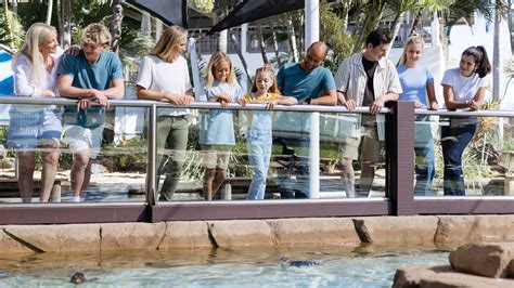 Little Penguins: Facts & Fun for Kids