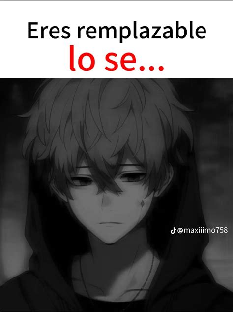 pablito (@pabloromero609)’s videos with sonido original - Sheider fans ...