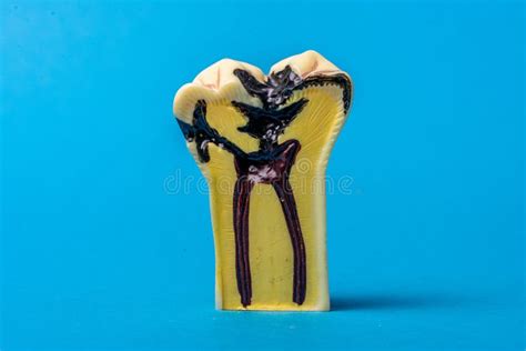 845 Pulpitis Church Stock Photos - Free & Royalty-Free Stock Photos ...