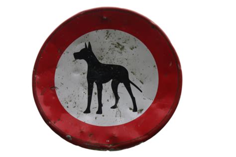 No Allowed Symbol PNG Transparent Images Free Download | Vector Files ...