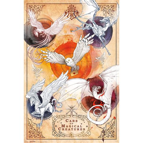 Harry Potter - Magical Creatures - Poster – yvolve Shop