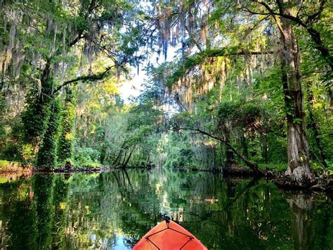 What Makes the Dora Canal a Bucket List Paddle? - Adventure Outdoor Paddle