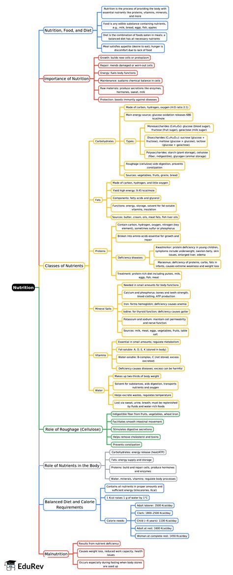 Mind Map: Nutrition - Biology for JAMB PDF Download