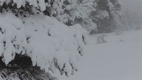 LP- Save the date – SERICA Watches