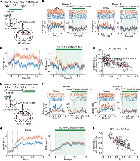 Thalamocortical regulation of prefrontal stability enables abstract ...