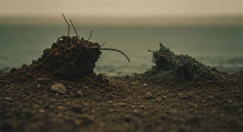 How Does Soil Ph Affect the Mobility of Heavy Metals? → Learn