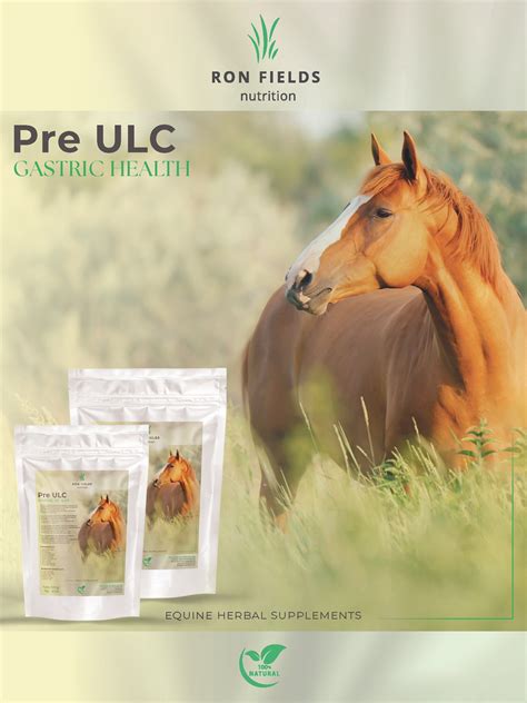PRE-ULC 500 g – Natural support for gastric ulcers - Equidirect