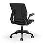 Humanscale Diffrient World Ergonomic Mesh Swivel Task Chair, Black ...