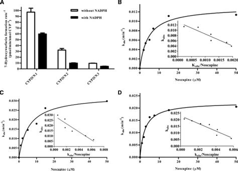 Characterization of Inhibition Kinetics of (S)-Warfarin Hydroxylation ...