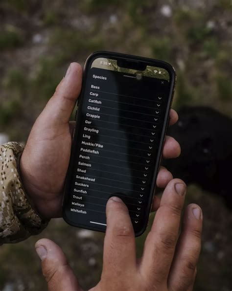 Toussaint Creek Fishing in Ohio - Maps, Reports, & Best Spots | onWater ...