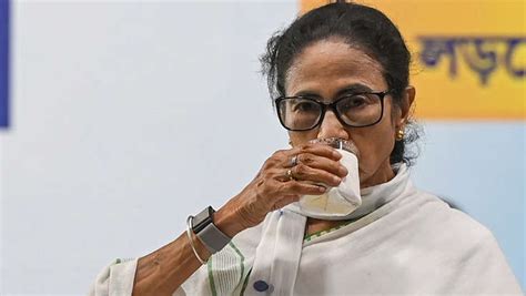 Exit polls split on West Bengal as BJP, TMC both eye majority