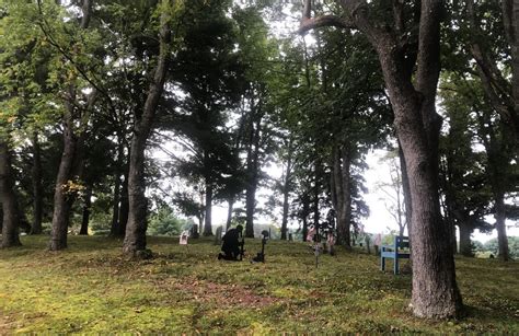 Die Besten Kurzen Routen in Tionesta | AllTrails