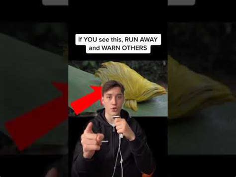 Warning signs historically linked with hazardous situations