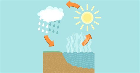 Defining relative humidity and how it relates to rain | Hey Ray - CBS ...
