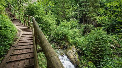Groppensteinschlucht Austria gorge walk nature (4K)