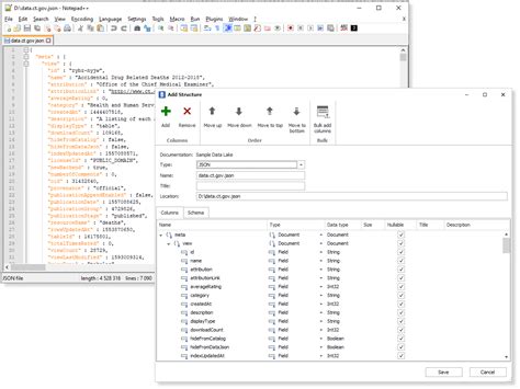 JSON | Dataedo documentation