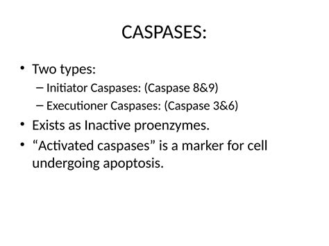 APOPTOSIS. MY CLASS.pptx pathology notes | PPTX