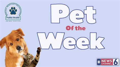 Pet of the Week: Griz
