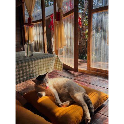 Quân (@Qun11401) / Posts / X