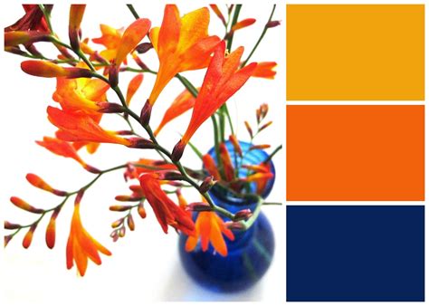 What Color Goes With Orange Flowers at William Foxworth blog