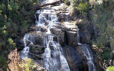 GRASMERE FARM (Gruyere) - B&B Reviews & Photos - Tripadvisor