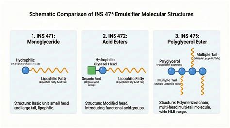 Mastering Food Emulsifiers: A Comparative Guide to INS 47x vs. Span ...