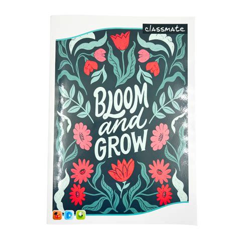 CLASSMATE, Exercise Book - Single Line | A4 | 172 Pg. – OXFORD stationers