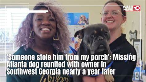 ‘Someone stole him from my porch’: Missing Atlanta dog reunited with ...