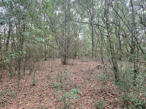 GardenClub info orientation- native plant identification seed starting ...