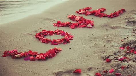 Love on the Beach with Petals in 5K Resolution - backiee
