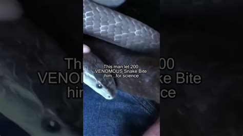 How to survive 200 venomous snake bites and stay alive