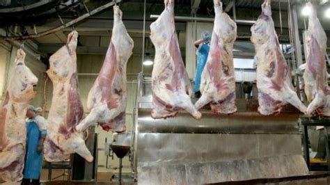Over 100 Kepak workers in Cornwall test positive for Covid-19 – The ...