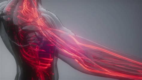 Human Hand Puppet 的图像结果