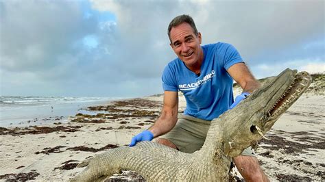 This type of fish has been around for 100 million years
