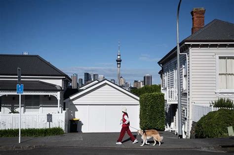 Tony Alexander: Kiwis slash their spending - who’s feeling pain the most?, All things property ...