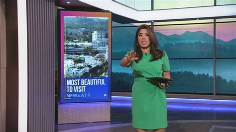 Bear wanders into KTLA reporter's live shot while covering bear attack