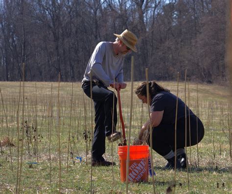 The Planet Needs Prosperous Forests. These Scientists Are Planting More Than 33,000 Trees to ...