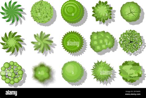 Top 15 MBA Programs 的图像结果