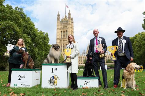 Tamworth MP's dog crowned Westminster Dog of the Year - BBC News