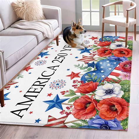 America 250 Years 3x5 Area Rugs for Living Room, Independence Day ...