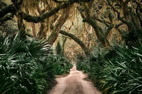29 Top Things to Do in Georgia