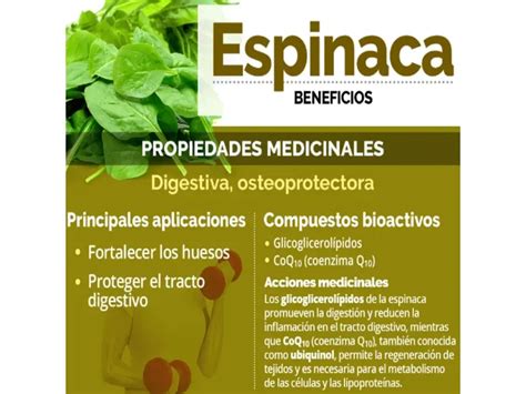 Espinaca Guacamaya 200 Gr - Paiz Honduras