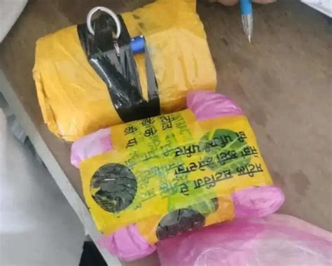 Heroin of 5cr dropped by Pak drone seized, 1 held