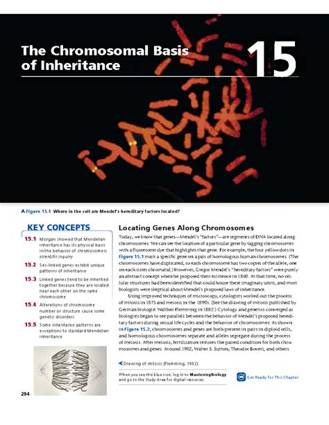 Campbell Biology Chapter 15: The Chromosomal Basis of Inheritance Notes ...