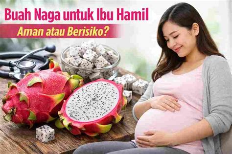 Buah Naga untuk Ibu Hamil, Aman atau Berisiko? Ini Faktanya - Sabilulhuda