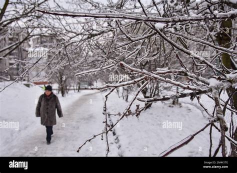 Tree branches are covered with ice after freezing rain in Lviv Stock ...