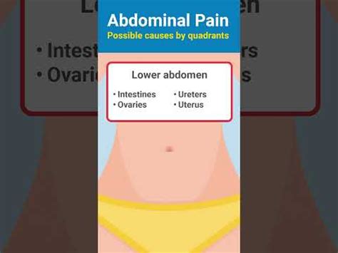 Can Angioedema Cause Pain In Ribs And Back