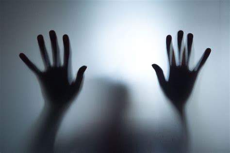 What’s the Difference Between a Fear and a Phobia | Boston…