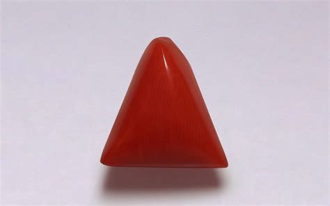 Natural Red Coral - 6.58 Carats (GP157760) from Italy | GemPundit