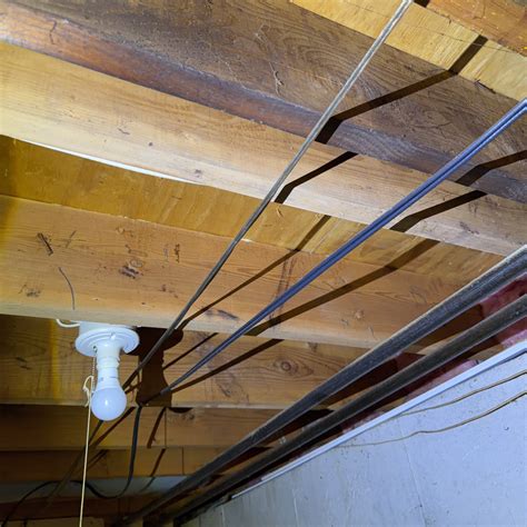 Apparent visible mold was noted during your building inspection | DIY ...